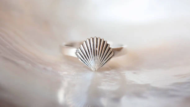 Exquisite open-ended silver ring in the shape of a seashell